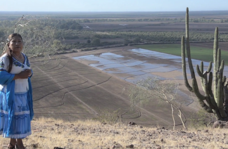 Asedio sobre la tribu yaqui