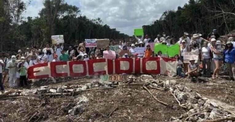 El Tren Maya y su impacto ambiental, una locomotora de destrucción