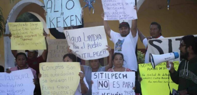 Bloqueo contra granja de cerdos en Sitilpech es legítimo; juez ordena alto a violencia contra manifestantes (Yucatán)