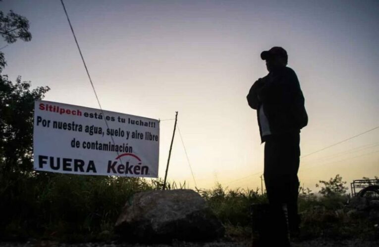 Sitilpech no quiere diálogo hasta que saquen a los cerdos (Yucatán)