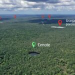 Granja porcícola contaminó acuíferos en Yucatán
