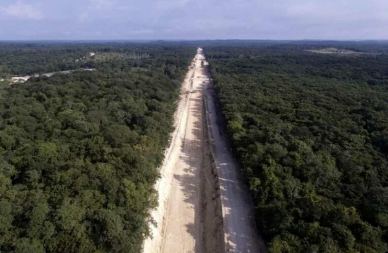 Indígenas y activistas insisten en frenar Tren Maya en el sureste mexicano