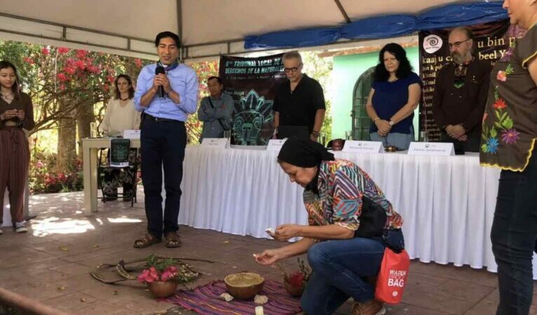 Tribunal de la Naturaleza sentencia al Tren Maya