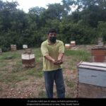 Por la muerte de abejas, colectivo maya exige se declare zona de emergencia en Hopelchén (Campeche)