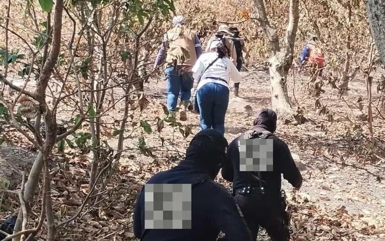 Nayarit: Activistas temen por su vida tras la búsqueda de desaparecidos