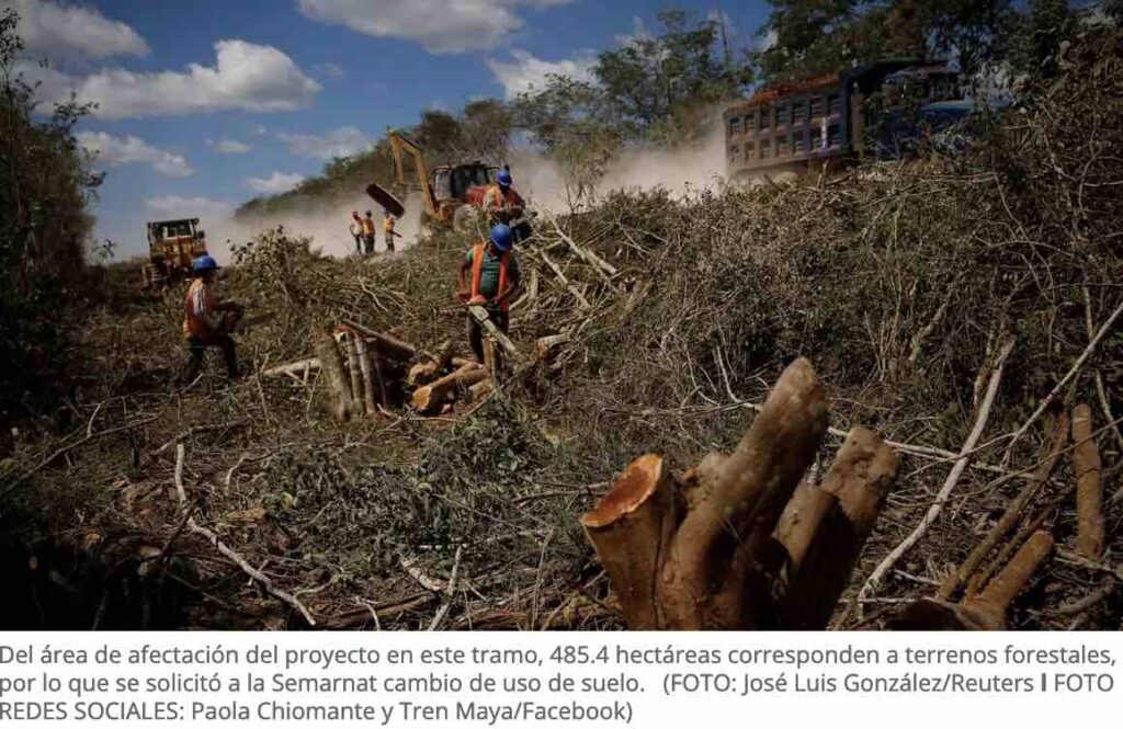 El Tren Maya se lleva la selva en la Península de Yucatán – Grieta