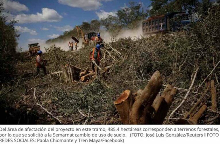 El Tren Maya se lleva la selva en la Península de Yucatán