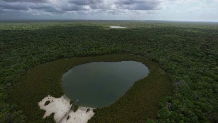 Una ciudad de 10.000 hectáreas amenaza la selva de Yucatán