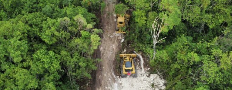 Denuncian devastación de área protegida por proyecto turístico en Quintana Roo