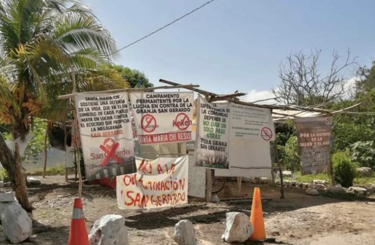 “En Santa María Chi, sabemos que peleamos contra un monstruo” (Yucatán)