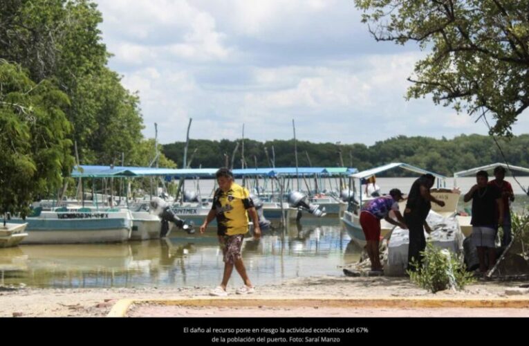 Grave contaminación en Celestún: Kekén destruye única fuente de agua potable (Yucatán)
