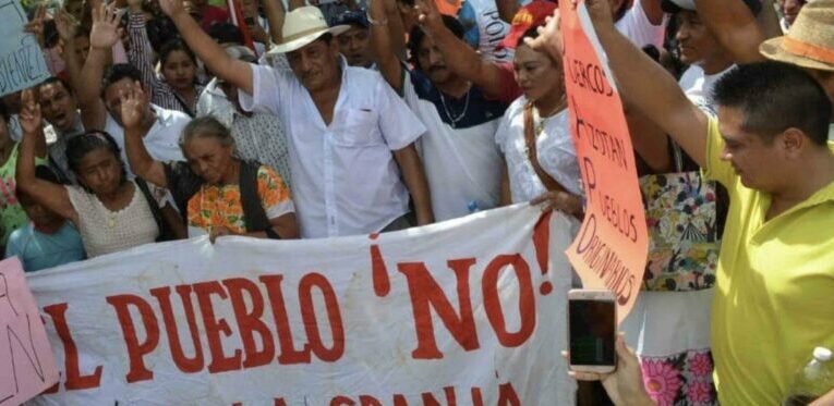 Casi mil granjas de cerdo en Yucatán producen carne para EEUU, Canadá y Asia