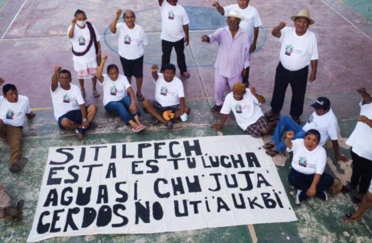 ¿Porcicultura sustentable?: mito basado en despojo, desigualdad, contaminación y corrupción (Yucatán)