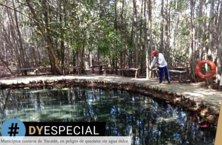 Municipios costeros de Yucatán, en peligro de quedarse sin agua dulce