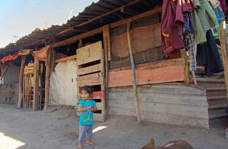 JORNALEROS AGRÍCOLAS: EXPLOTACIÓN Y ABUSO