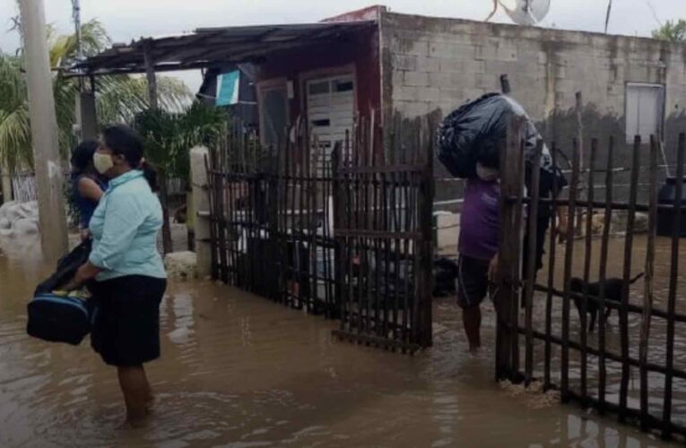 Alertan de un desastre: No toda la costa yucateca es apta para casas; dice un experto