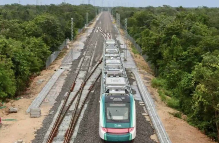 Talan 7 millones de árboles para construir el Tren Maya