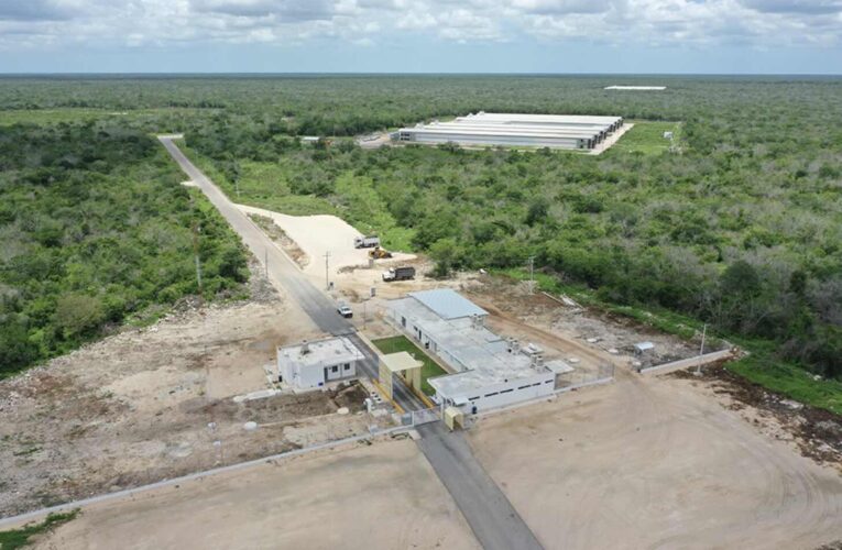 Crío y su depósito de excrementos a cielo abierto en Yucatán