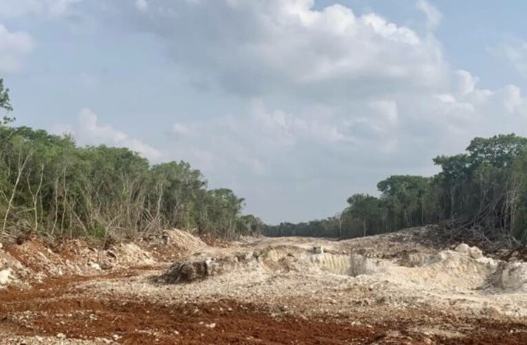México: organizaciones denuncian que obras del Tren Maya han deforestado hasta el momento 6 659 hectáreas
