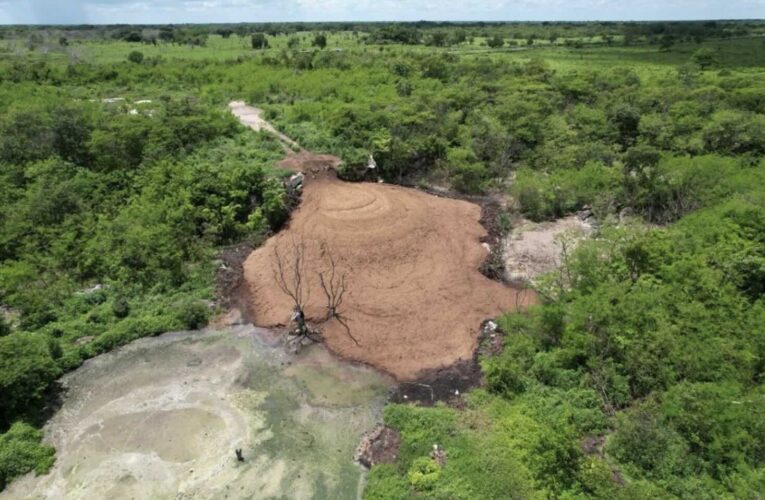 Cenotillo contaminado por bagazo de cerveza (Yucatán)