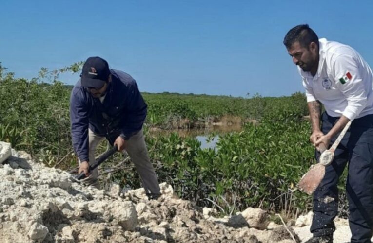 Tren maya, un megaproyecto de personas desaparecidas y esclavitud moderna