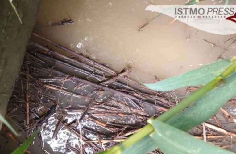 Minera Cuzcatlán contamina arroyo en Oaxaca y Profepa ignora la denuncia de los pueblos afectados