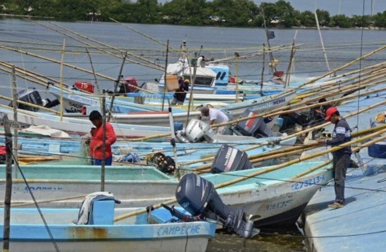 13 mil pescadores, esclavos del capitalismo salvaje (Yucatán)