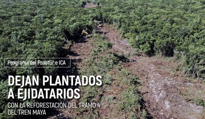 Programa del Fonatur e ICA: Dejan plantados a ejidatarios con la reforestación del tramo 4 del Tren Maya (Yucatán)