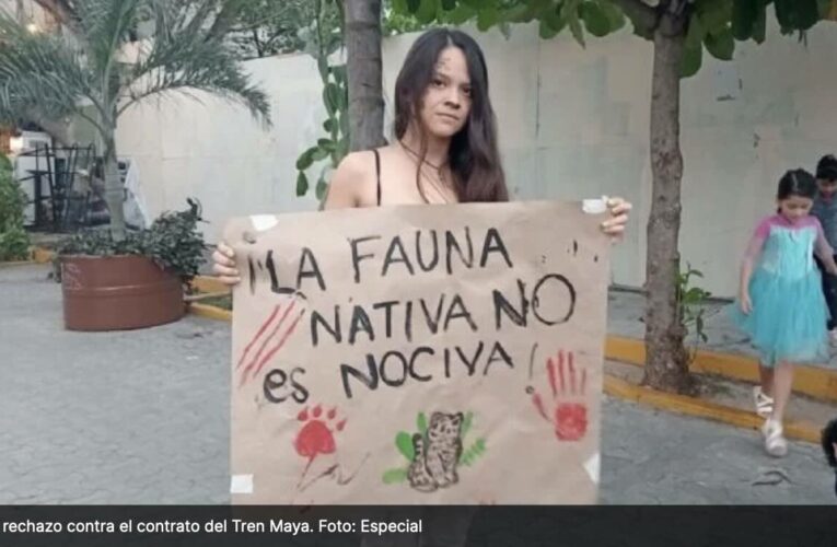 Contrato del Tren Maya contra jaguares, venados y tapires desata indignación entre ambientalistas