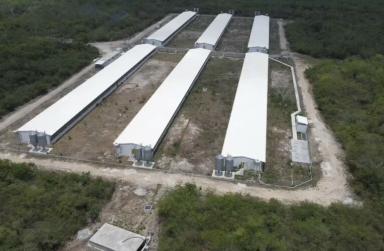 Estas son las siete empresas millonarias del agua en Yucatán; acaparan más un millón de metros cúbicos al año