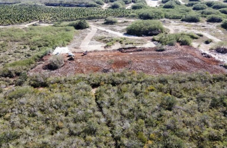 Devastación en la Reserva Cuxtal (Yucatán)