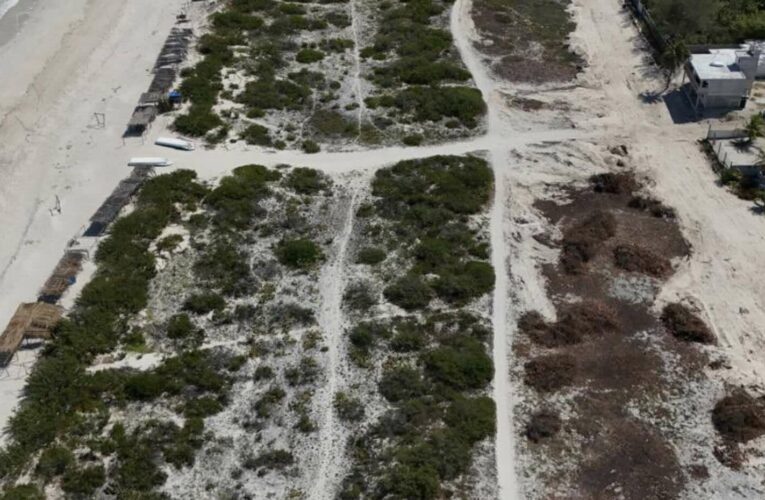 Conflicto en Sisal: pobladores se enfrentan a autoridades para detener expansión turística sin control en la costa mexicana (Yucatán)