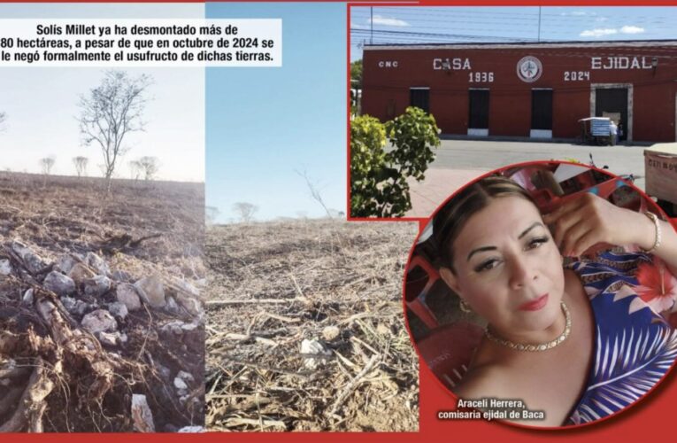 Despojados de 168 hectáreas (Yucatán)