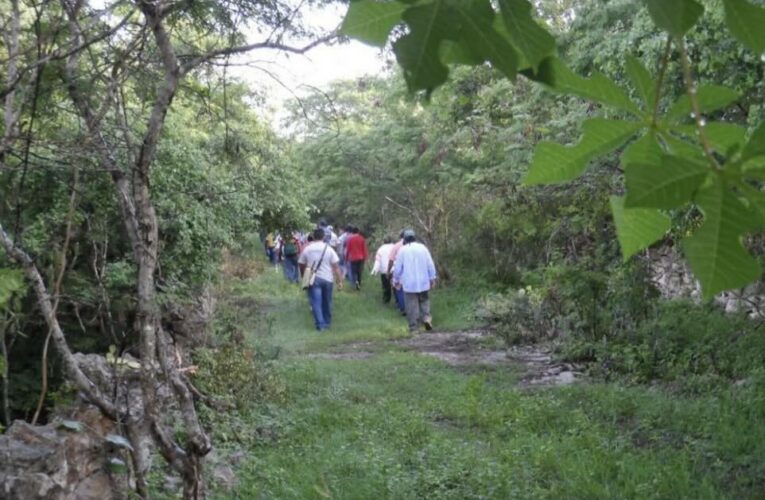 Recalcan que al ser monte federal, Misnebalam no puede parcelarse (Yucatán)