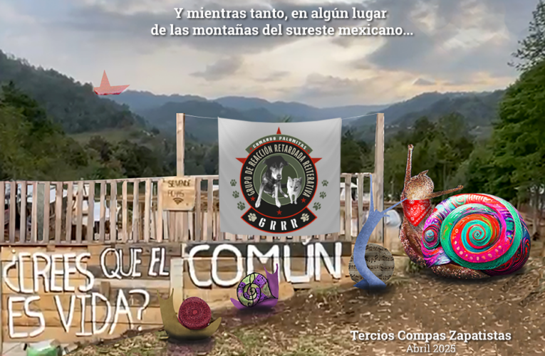 MIENTRAS TANTO, EN ALGÚN LUGAR DE LAS MONTAÑAS DEL SURESTE MEXICANO…