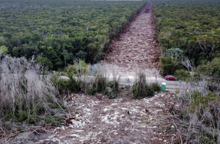 Se acumulan las irregularidades ambientales del Tren Maya
