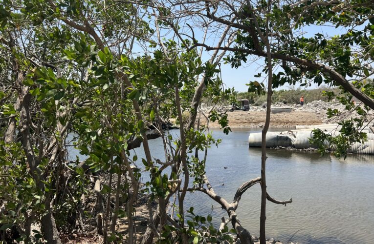 Agoniza Estero espantaperros y más de 18 cuerpos de agua por obra de interoceánico en Unión Hidalgo, Oaxaca