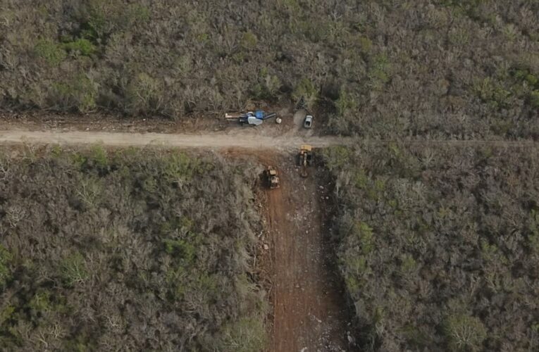 Pobladores denuncian la deforestación ilegal de Misnebalam (Yucatán)