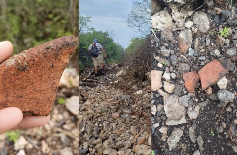 Investigan daño al patrimonio arqueológico por tala ilegal en Misnebalam(Yucatán)