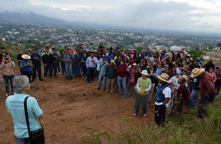 Cambio de uso de suelo en El Crestón pone en riesgo cordillera de 60 mil hectáreas (Oaxaca)