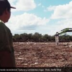 “Nos dejan mierda, pestilencia y moscas”: La batalla de Kinchil contra granja avícola en Yucatán